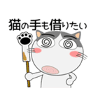 年末年始も、猫三昧（個別スタンプ：25）