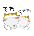 年末年始も、猫三昧（個別スタンプ：35）