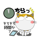 年末年始も、猫三昧（個別スタンプ：36）