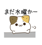 毎日五月病なねこたち12（個別スタンプ：1）