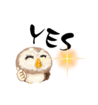ふわふわフクロウの日常会話☆（個別スタンプ：7）