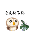 ふわふわフクロウの日常会話☆（個別スタンプ：10）