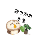 ふわふわフクロウの日常会話☆（個別スタンプ：13）