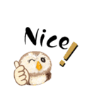 ふわふわフクロウの日常会話☆（個別スタンプ：14）