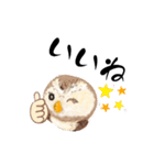 ふわふわフクロウの日常会話☆（個別スタンプ：15）