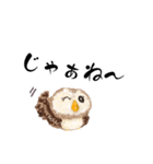 ふわふわフクロウの日常会話☆（個別スタンプ：29）