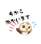 ふわふわフクロウの日常会話☆（個別スタンプ：31）