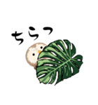 ふわふわフクロウの日常会話☆（個別スタンプ：40）