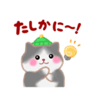 4匹のぽちゃりねこ「冬」【修正版】（個別スタンプ：17）
