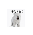 カップルのための愛の表現ステッカー1（個別スタンプ：29）
