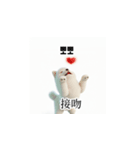 [韩语]可爱的小天使北极白色小狗 qcB（個別スタンプ：1）