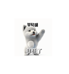 [韩语]可爱的小天使北极白色小狗 qcB（個別スタンプ：2）