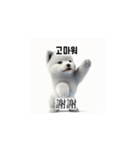 [韩语]可爱的小天使北极白色小狗 qcB（個別スタンプ：3）