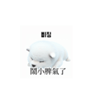 [韩语]可爱的小天使北极白色小狗 qcB（個別スタンプ：5）