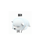 [韩语]可爱的小天使北极白色小狗 qcB（個別スタンプ：6）