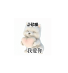 [韩语]可爱的小天使北极白色小狗 qcB（個別スタンプ：7）