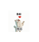 [韩语]可爱的小天使北极白色小狗 qcB（個別スタンプ：10）