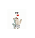 [韩语]可爱的小天使北极白色小狗 qcB（個別スタンプ：11）
