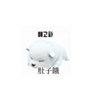 [韩语]可爱的小天使北极白色小狗 qcB（個別スタンプ：13）