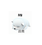 [韩语]可爱的小天使北极白色小狗 qcB（個別スタンプ：17）