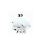 [韩语]可爱的小天使北极白色小狗 qcB（個別スタンプ：22）