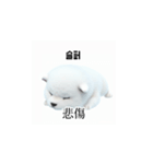 [韩语]可爱的小天使北极白色小狗 qcB（個別スタンプ：24）