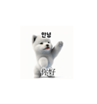[韩语]可爱的小天使北极白色小狗 qcB（個別スタンプ：25）
