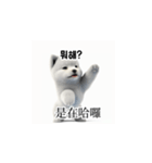 [韩语]可爱的小天使北极白色小狗 qcB（個別スタンプ：26）