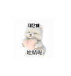 [韩语]可爱的小天使北极白色小狗 qcB（個別スタンプ：28）