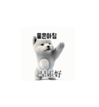 [韩语]可爱的小天使北极白色小狗 qcB（個別スタンプ：32）