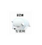 [韩语]可爱的小天使北极白色小狗 qcB（個別スタンプ：36）