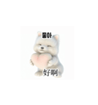 [韩语]可爱的小天使北极白色小狗 qcB（個別スタンプ：37）