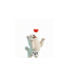 サモエド韓国語 fGw（個別スタンプ：37）