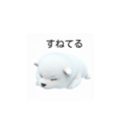 韓国語会話 サモエド犬KRJP 2lG（個別スタンプ：4）