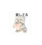 韓国語会話 サモエド犬KRJP 2lG（個別スタンプ：6）