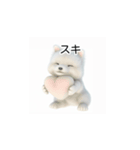 韓国語会話 サモエド犬KRJP 2lG（個別スタンプ：7）