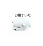 韓国語会話 サモエド犬KRJP 2lG（個別スタンプ：10）