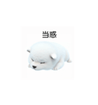 韓国語会話 サモエド犬KRJP 2lG（個別スタンプ：12）