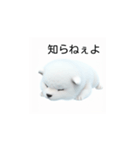 韓国語会話 サモエド犬KRJP 2lG（個別スタンプ：16）