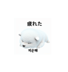 韓国語会話 サモエド犬KRJP swQ（個別スタンプ：17）