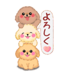 【BIG】トイプードルのお正月【改訂版】（個別スタンプ：20）