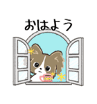 もふもふパピヨン♡年中使える（個別スタンプ：5）