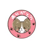 もふもふパピヨン♡年中使える（個別スタンプ：7）