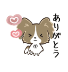 もふもふパピヨン♡年中使える（個別スタンプ：8）