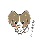 もふもふパピヨン♡年中使える（個別スタンプ：10）