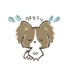 もふもふパピヨン♡年中使える（個別スタンプ：13）