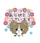 もふもふパピヨン♡年中使える（個別スタンプ：14）