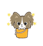 もふもふパピヨン♡年中使える（個別スタンプ：15）