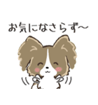 もふもふパピヨン♡年中使える（個別スタンプ：19）