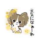 もふもふパピヨン♡年中使える（個別スタンプ：21）
